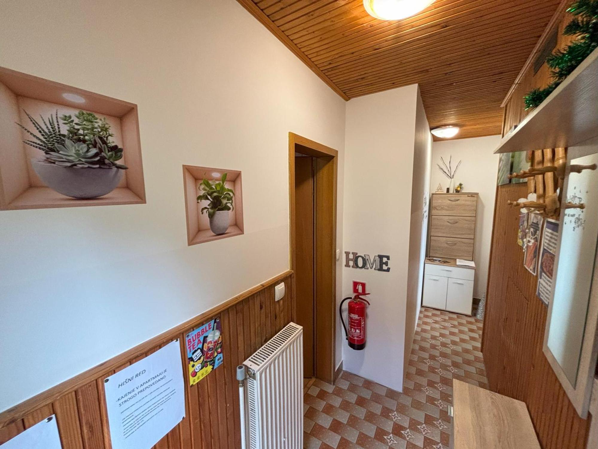 Apartment Panorama Зрече Екстер'єр фото